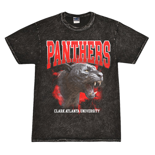 Rockstar 101 | Panthers 101 | Tshirt - Mineral Black