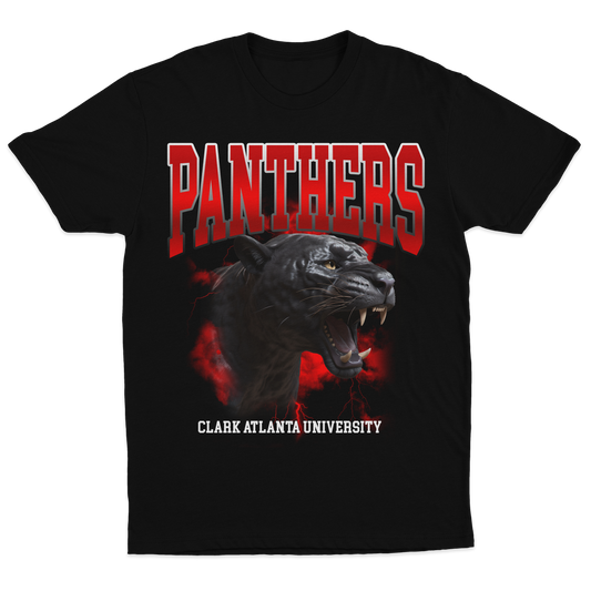 Rockstar 101 | Panthers 101 | Tshirt - Black