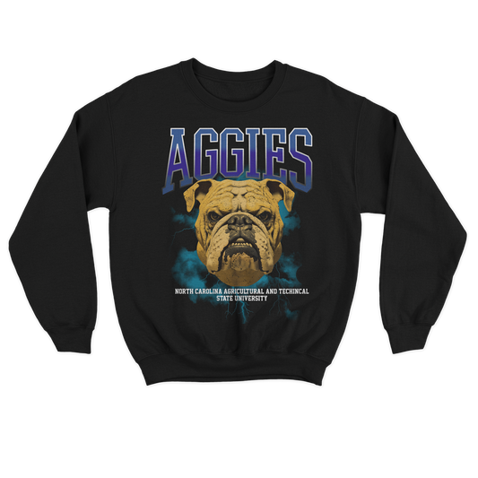 Rockstar 101 | Aggies 101 | Sweatshirt - Black